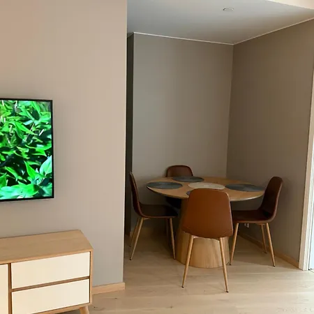 Apartment Oslo Gateway In